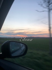 Elona's avatar