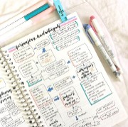 Asha ❤️‍🔥🐾's avatar