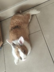 ✨•Victor•🍓's avatar