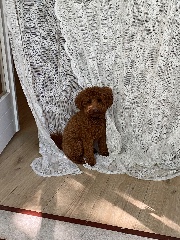 🎧🧸𝓜𝔂 𝓛𝓲𝓯𝓮🧸🎧's avatar