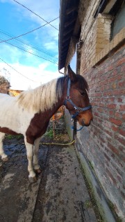 Calixte et sa troupe 🌸🌞's avatar