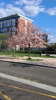 M’🌸☆'s avatar