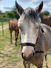 Jrigoooole_19's avatar