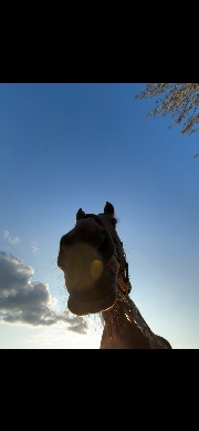 My *bad* perfect life's avatar