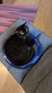 ✨Idi100314🫰's avatar