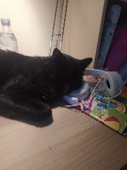 Ali.sponsor🤍's avatar