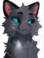 Plume de Pluie 🪶🌧️'s avatar