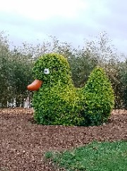 💧☂️Capuche☂️💧's avatar