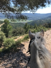 Camille ❤️‍🔥's avatar