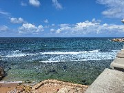 BookClub_Jumana's avatar