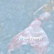 SunTeam's avatar