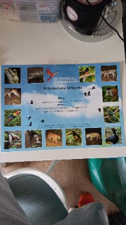 Elli.for .future's avatar