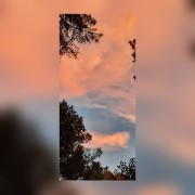 scrivimiciaoo's avatar