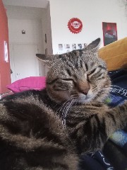 ❤️🌙Sele🌙❤️'s avatar