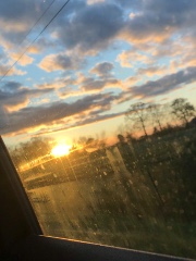 🪩🐆just girl🌸🎀's avatar