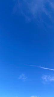 pie.rosè🩷🖤🐼's avatar