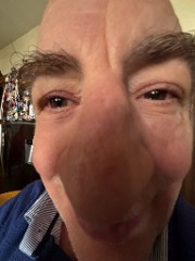 Loreix castaldo's avatar