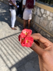 Ricken-Dja 🌸's avatar