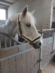 {Une_Cavalière}'s avatar