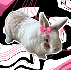 αυяүүү❤️🫶🏻🌸's avatar