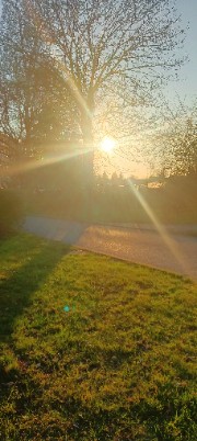 Mia 🫧🪼🌺's avatar