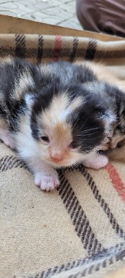 I know, u know ,Lee know🐰's avatar