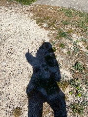 Je juge vos chaînes 's avatar