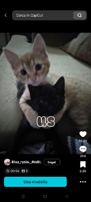 Carly☀️'s avatar