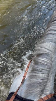 🦋New York🦋's avatar