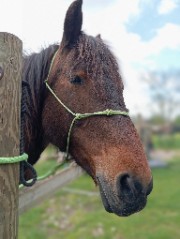 🫧Cate🫧's avatar