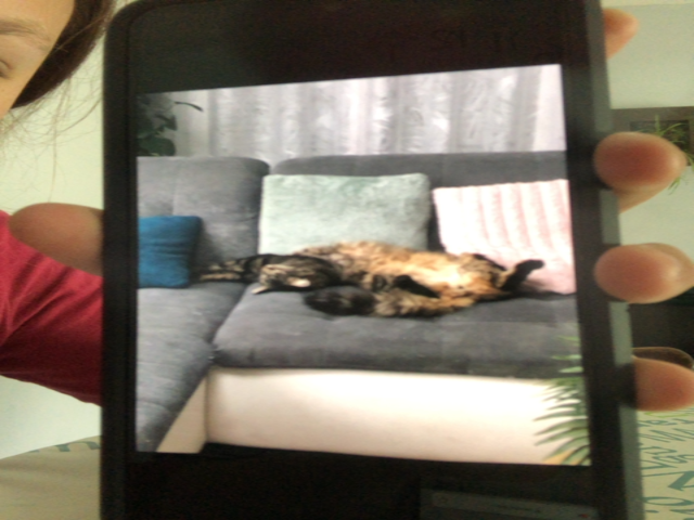 Message attachment