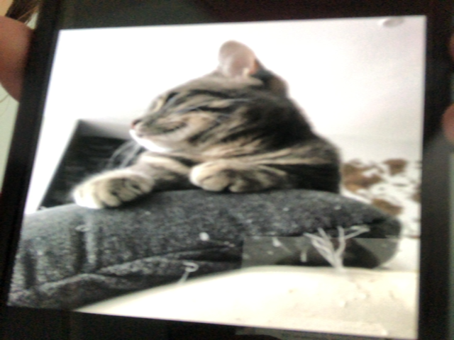 Message attachment