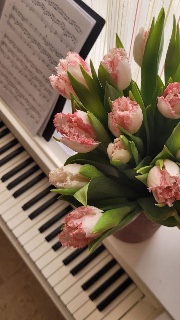 Saretta_pianoforte's avatar