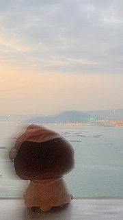 Hazel & Chippie's avatar