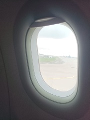 Ilcorisinoazzullo🩵's avatar