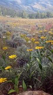 𝐁𝐞𝐚𝐮𝐭𝐲𝐓𝐢𝐩𝐬's avatar