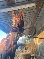 💜UN PO’ DI TUTTO💜's avatar