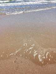 M@el¥s♪♥★'s avatar