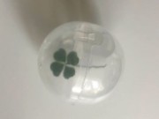 Elisa's avatar