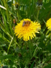 Laura.for.future's avatar