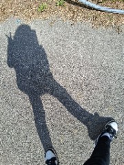 sofygymmylove013's avatar