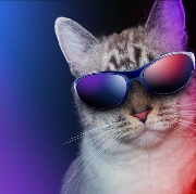 chaotchannel's avatar