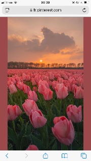 Les glowies 's avatar