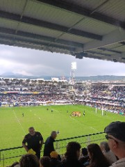 Lily-Bleu 🐚✨️'s avatar