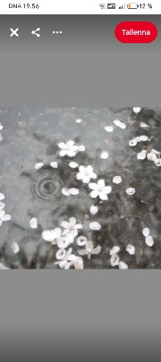 @https.k-pop 's avatar