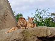 Marta🫶🫶🫶🫶💘💘's avatar