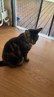 I 🍄🫶🏼's avatar