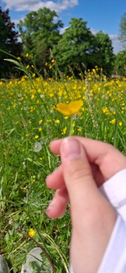 Navia☾❦'s avatar