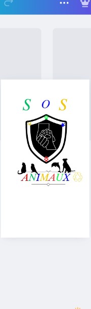 SOS ANIMAUX 's avatar