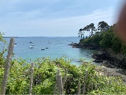 Shade🌸🩷's avatar